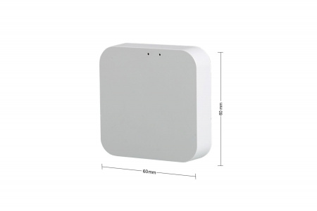 Конвертер интеллектуальный Bluetooth Tuya Smart Life