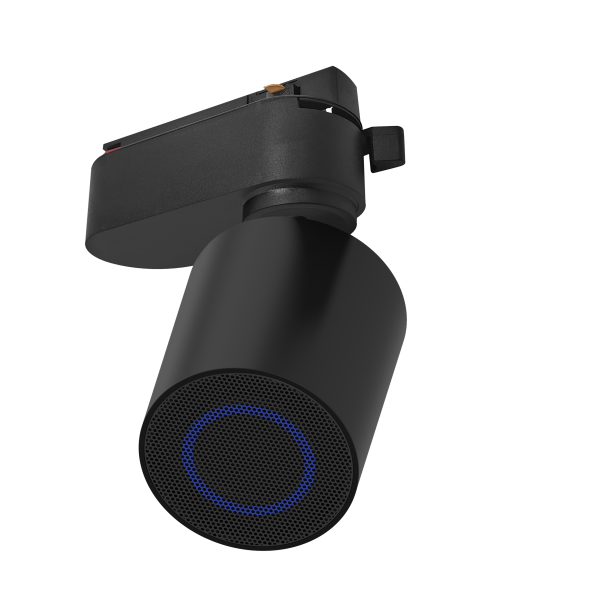 Трековая портативная аудиосистема 2TRA 10W Bluetooth V5.4 12DB IP20 / Black 65x75mm