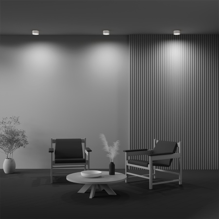 Светильник накладной RONDO 12W White 4000K | Ø120x65mm 