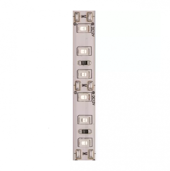 Синий IP65 12V 2835/120 ML (5м)