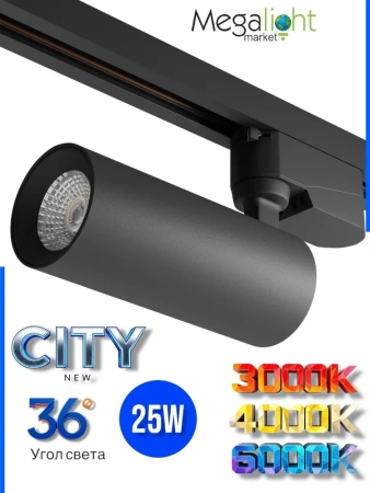Светильник CITY NEW 25W 3ССТ 3000/4000/6000К CRI85 36° Черный 2TRA однофазный 220V 60x145mm